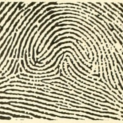 A fingerprint is a molecular representation that omits certain kinds of structural information with the goal of increasing computational speed. The su