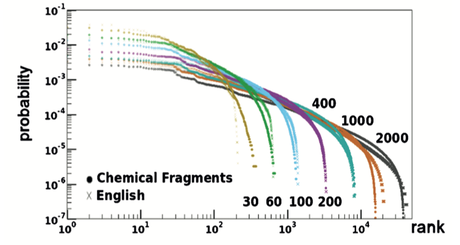 Log Rank vs. Probability