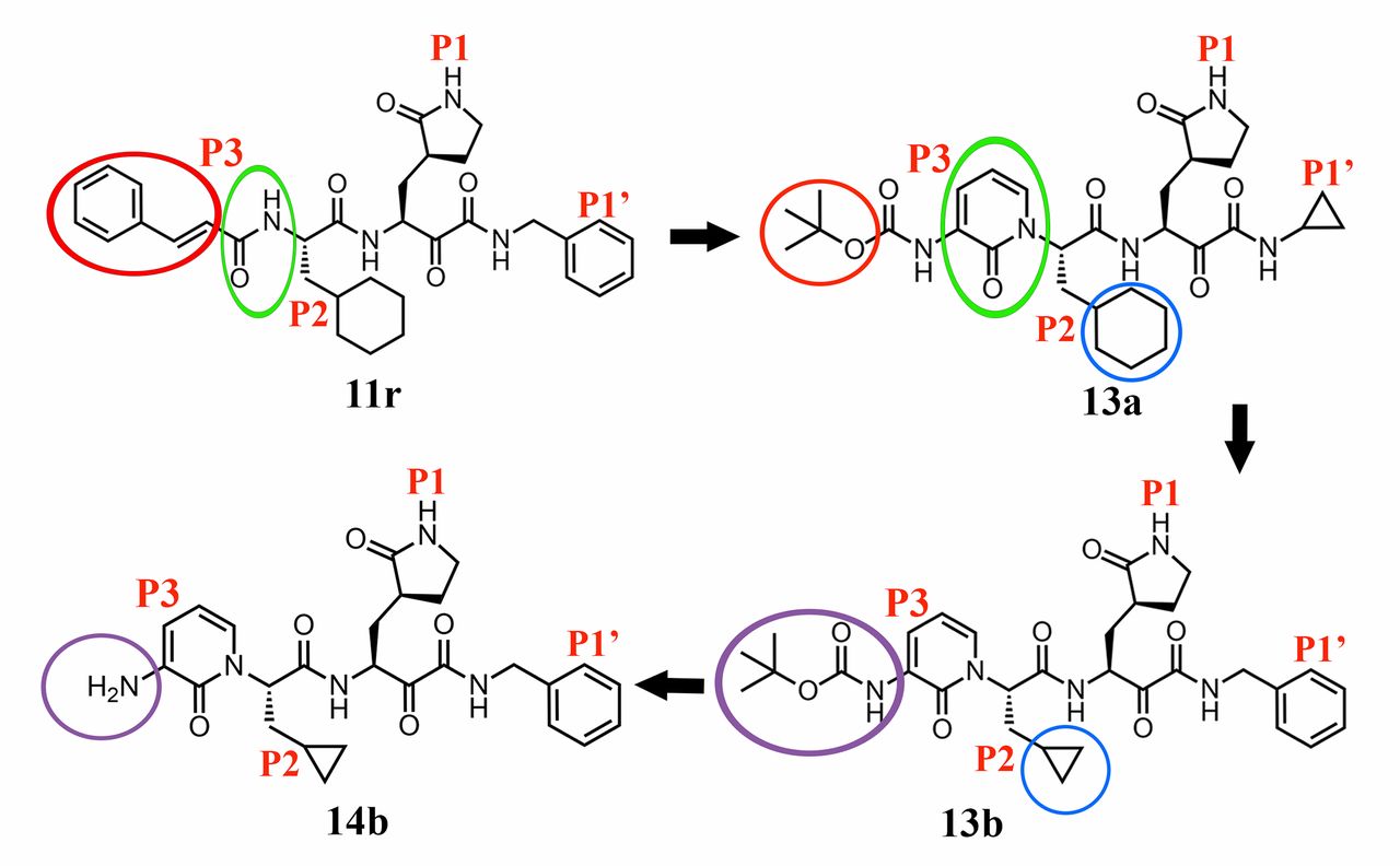 Inhibitors