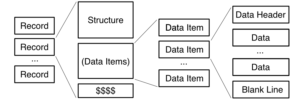 SDfile Layout